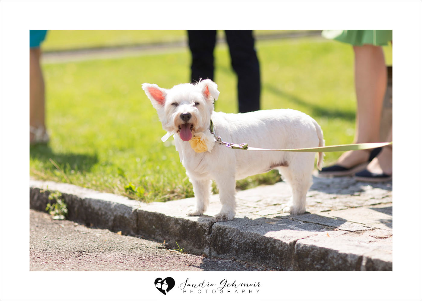 016_heiraten_am_see_spitzvilla_sandra_gehmair