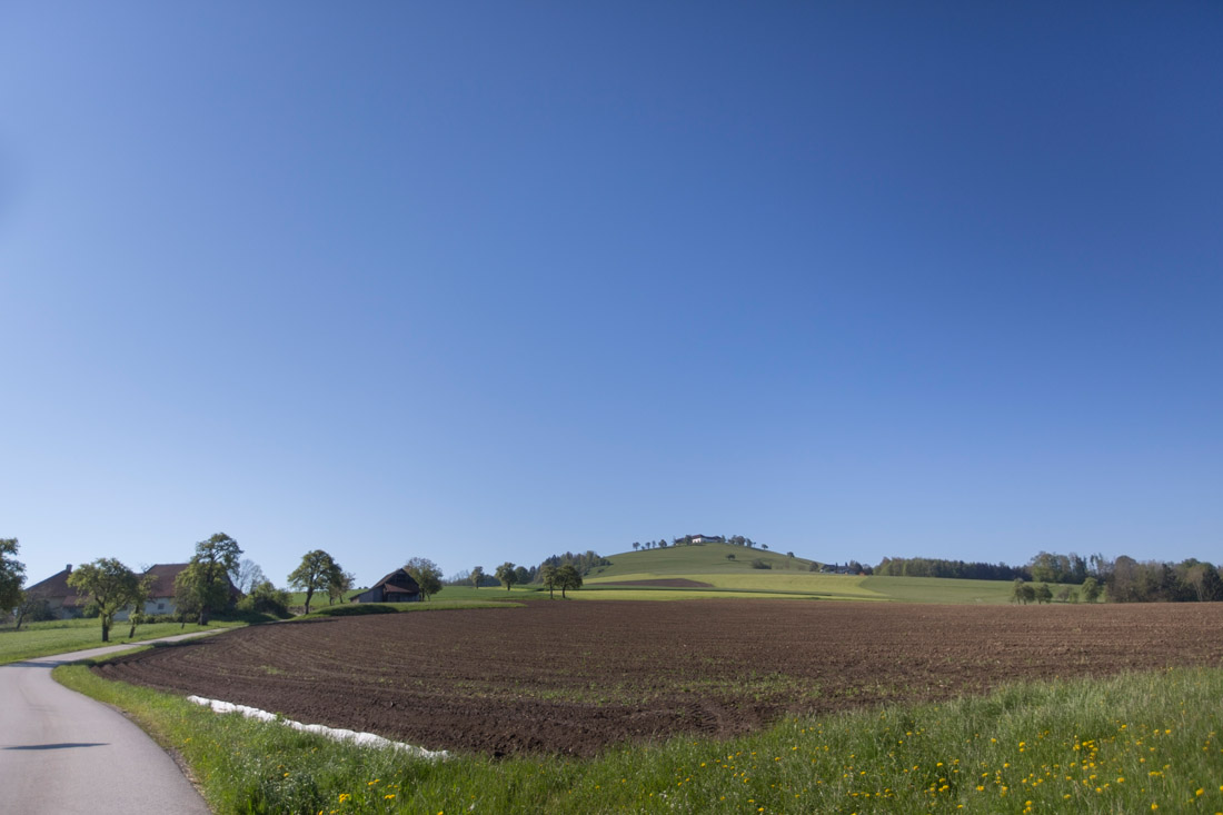 01Fotografin-Sandra-Gehmair-Bad-Hall-Park-Hochzeitsfotos