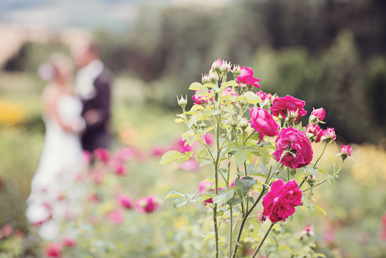 08_Garten_der_Geheimnisse_Strohheim_Eferding_Hochzeit_Sandra_Gehmair_Fotos_3