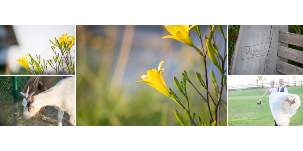 09_Hoamat_Haibach_Hochzeit_Heiraten_Fotos_Sandra_Gehmair_Hochzeitslocation