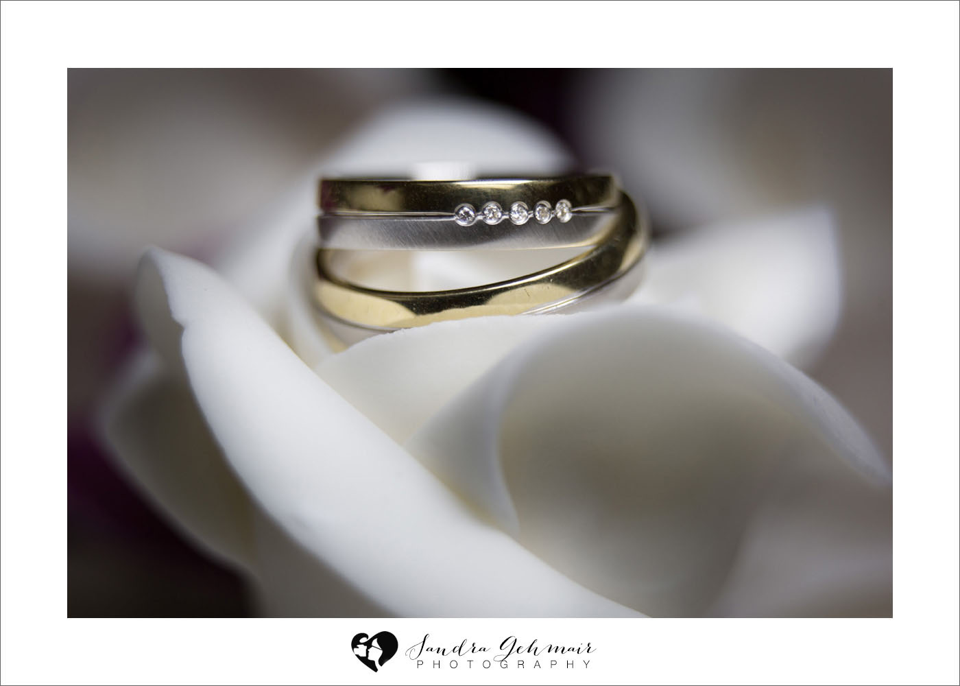 11_Hochzeit_Schloss_Lamberg_Steyr_Orangerie_Sandra_Gehmair_Hochzeitsfotos