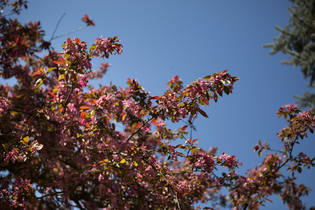 19Fotografin-Sandra-Gehmair-Schloss-Kremsegg-Hochzeit