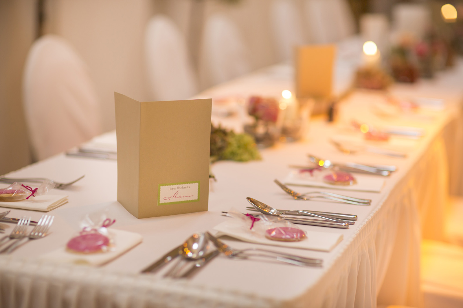 27-Fotograf-Oberösterreich-Johanneshof-Naarn-Hochzeit-Sandra-Gehmair