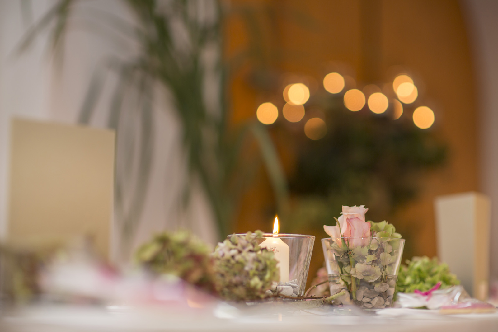 32-Fotograf-Oberösterreich-Johanneshof-Naarn-Hochzeit-Sandra-Gehmair