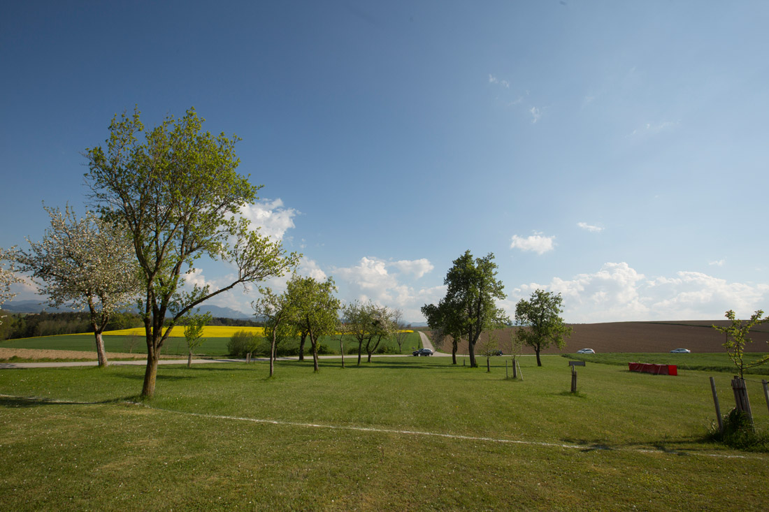37Fotografin-Sandra-Gehmair-Familie-Ganglbauer-Hof-Hochzeit