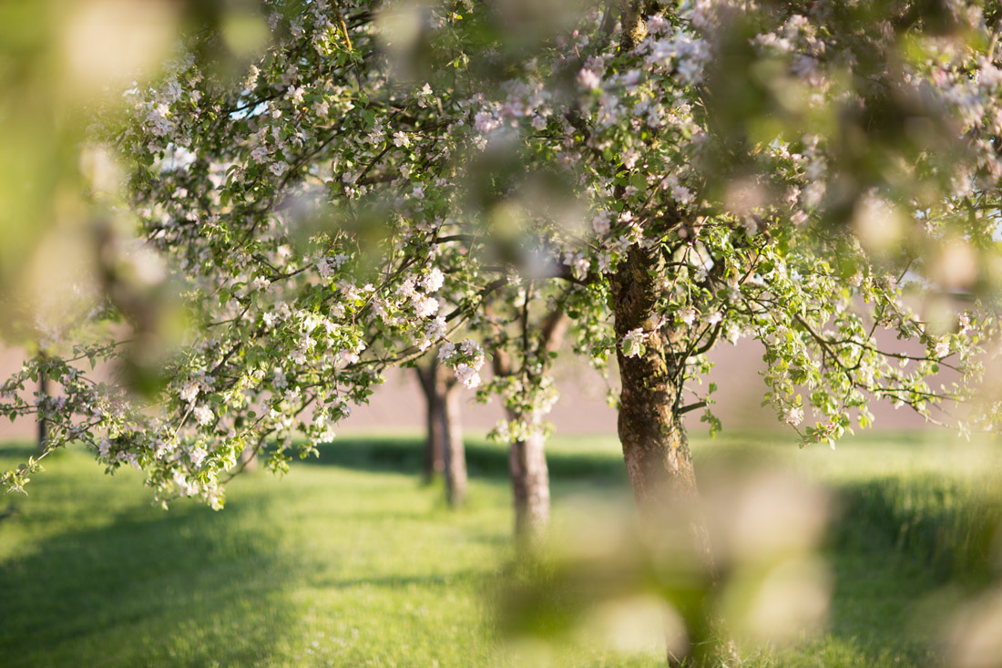 38Fotografin-Sandra-Gehmair-Familie-Ganglbauer-Hof-Hochzeit
