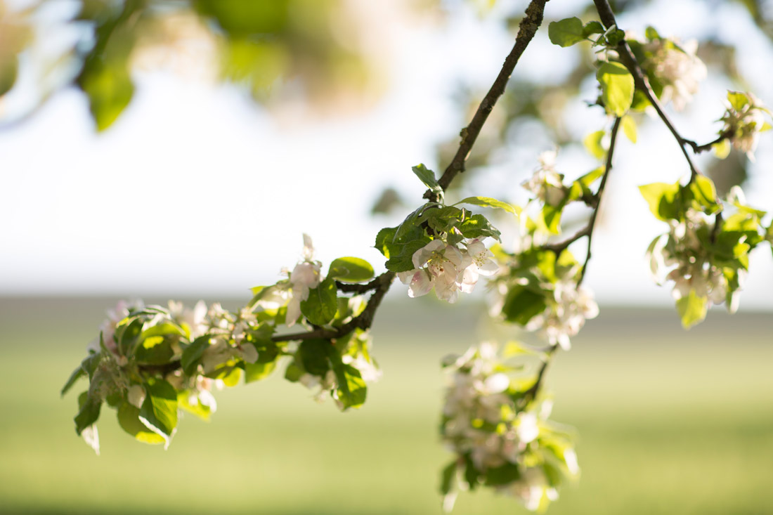 39Fotografin-Sandra-Gehmair-Familie-Ganglbauer-Hof-Hochzeit