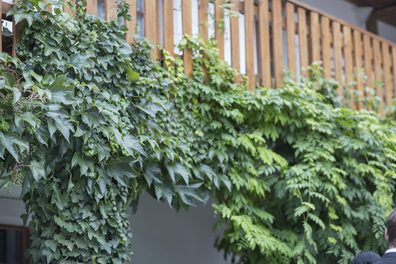 47-Fotograf-Oberösterreich-Johanneshof-Naarn-Hochzeit-Sandra-Gehmair