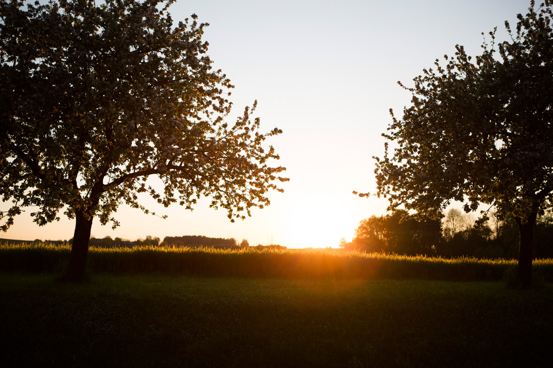 51Fotografin-Sandra-Gehmair-Sonnenuntergang-Hochzeitsfotos