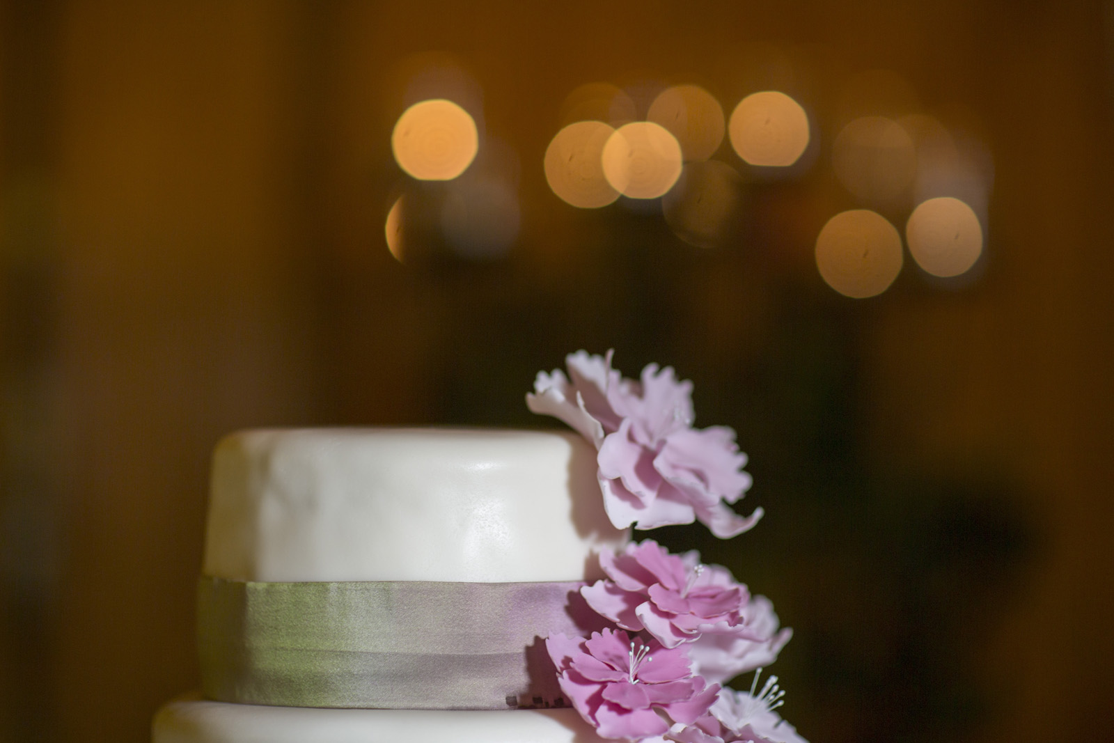 80-Fotograf-Oberösterreich-Johanneshof-Naarn-Hochzeit-Sandra-Gehmair